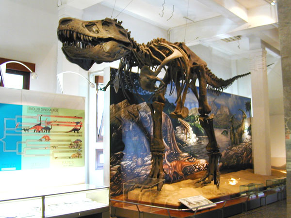 Kerangka tiruan T-Rex di Museum Geologi Bandung